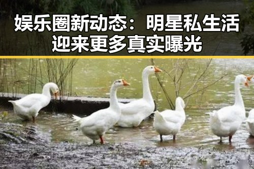 娱乐圈新动态：明星私生活迎来更多真实曝光